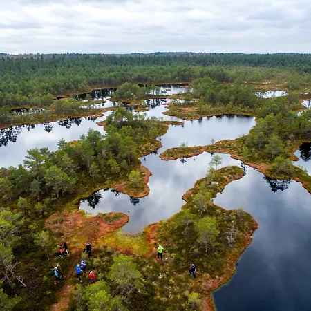 Villa Pillapalu Villa