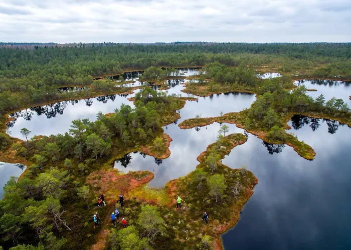 Villa Pillapalu Villa